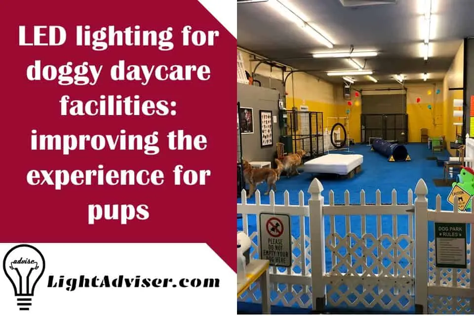 Led Lighting for Doggy Day Care facilities